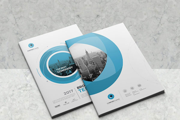 In catalogue, Kỷ yếu, Brochure